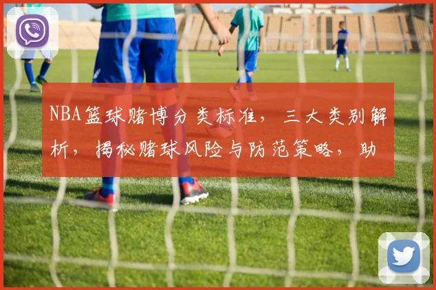 NBA篮球赌博分类标准，三大类别解析，揭秘赌球风险与防范策略，助您理性投注