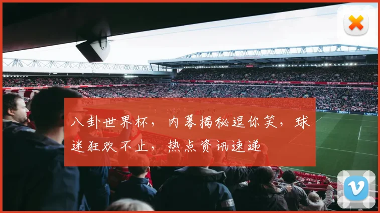 八卦世界杯，内幕揭秘逗你笑，球迷狂欢不止，热点资讯速递