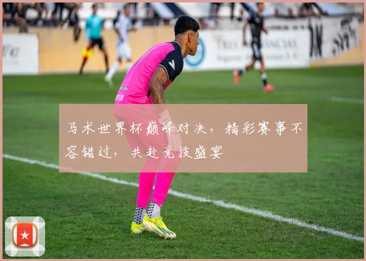 马术世界杯巅峰对决，精彩赛事不容错过，共赴竞技盛宴