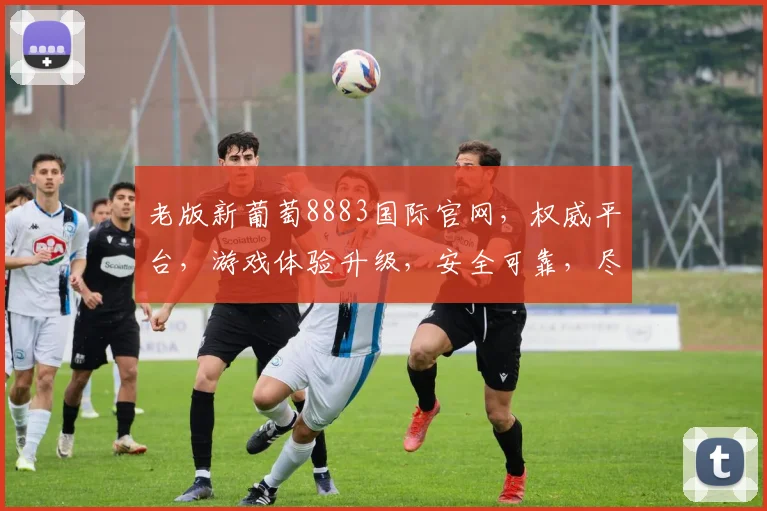 老版新葡萄8883国际官网，权威平台，游戏体验升级，安全可靠，尽享娱乐乐趣，不容错过