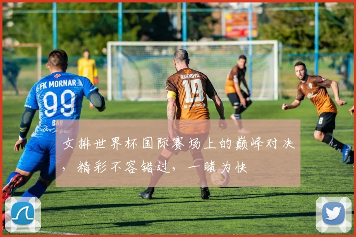 女排世界杯国际赛场上的巅峰对决，精彩不容错过，一睹为快